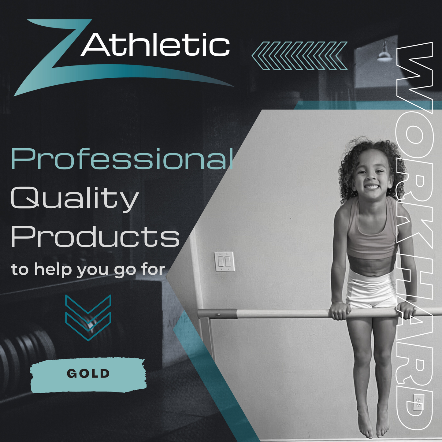 Z Athletic Fly Bar