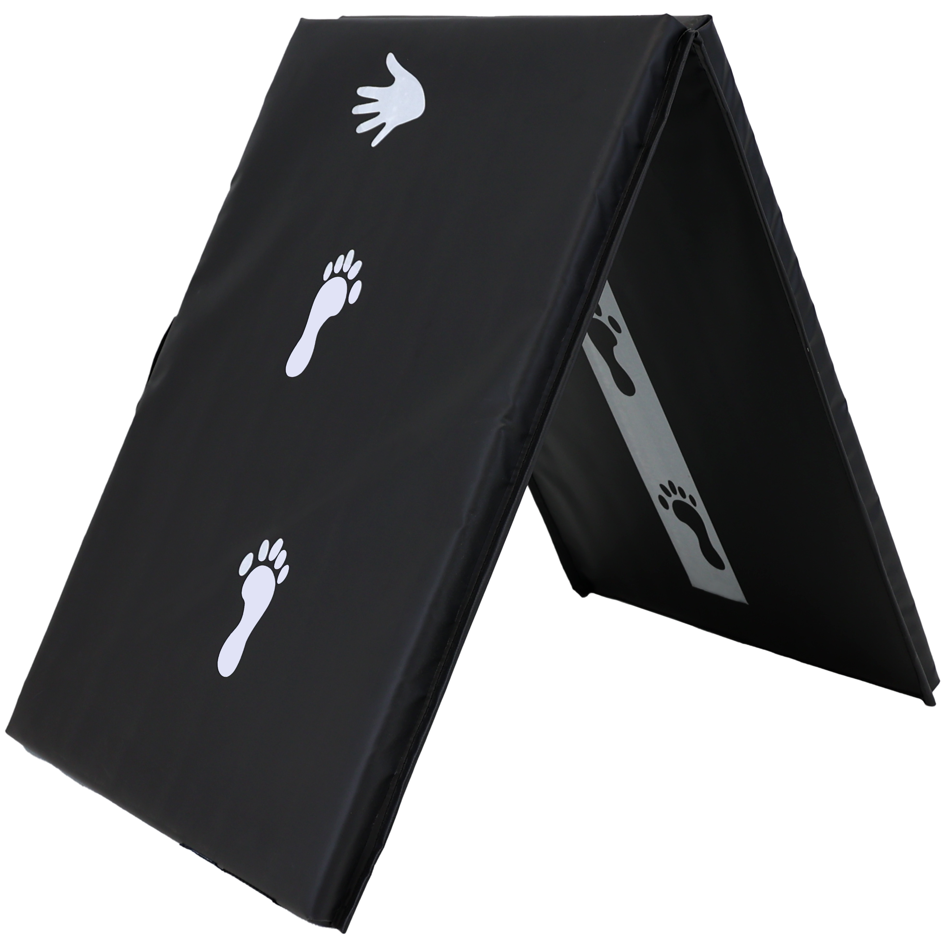 Z Athletic Cartwheel/ Balance Beam Training Mat