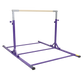 Z Athletic Fly Bar